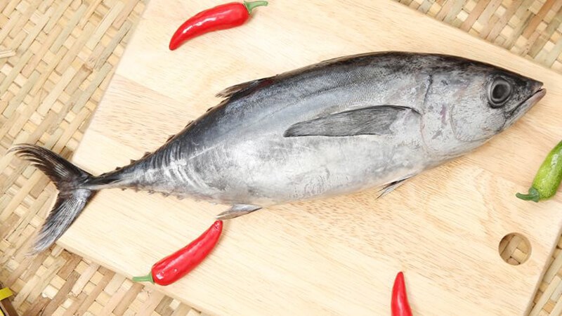 Cá ngừ chứa nhiều Omega-3 tốt cho sức khoẻ xương khớp