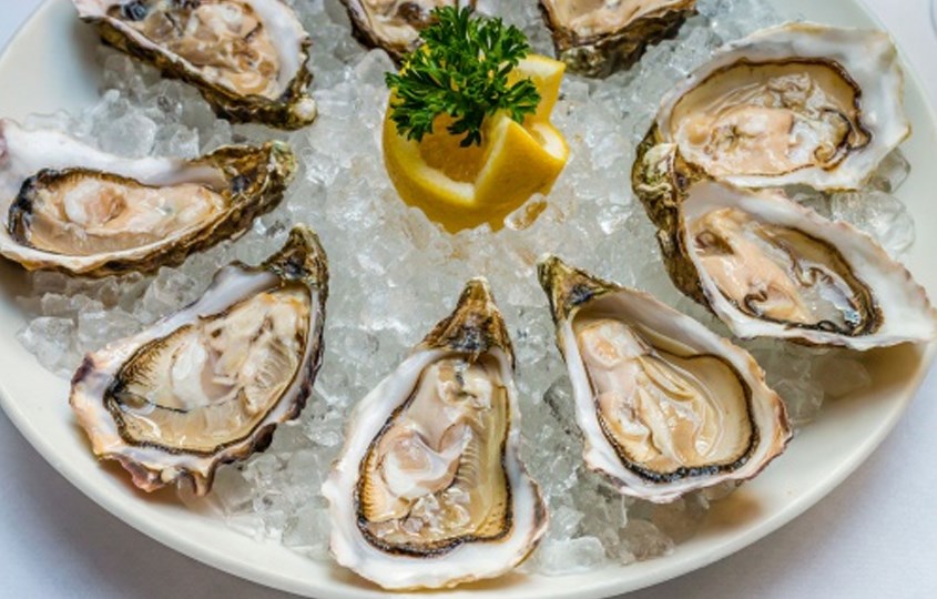 Hàu, trai, hến là thực phẩm phù hợp bổ sung vitamin B