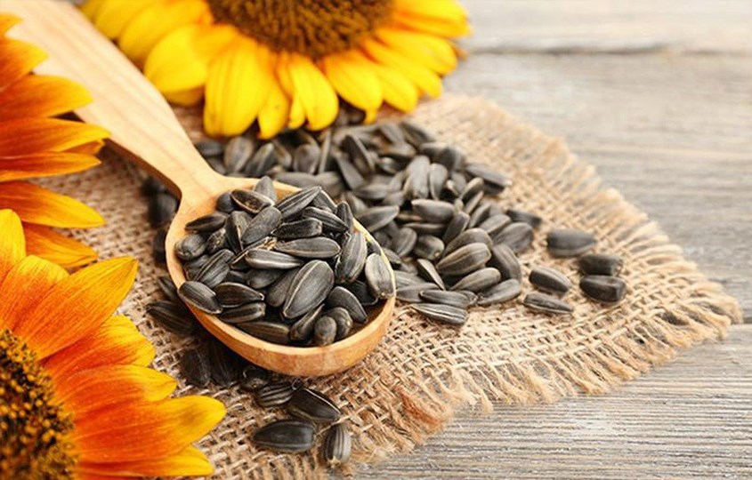 Hạt hướng dương bổ sung vitamin B5