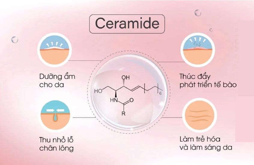 Ceramide