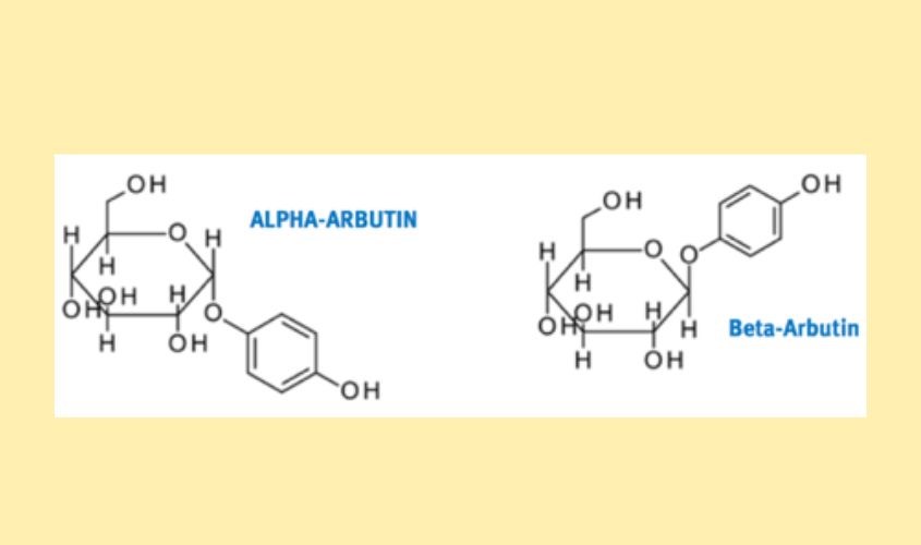 Arbutin có hai dạng Alpha và Beta