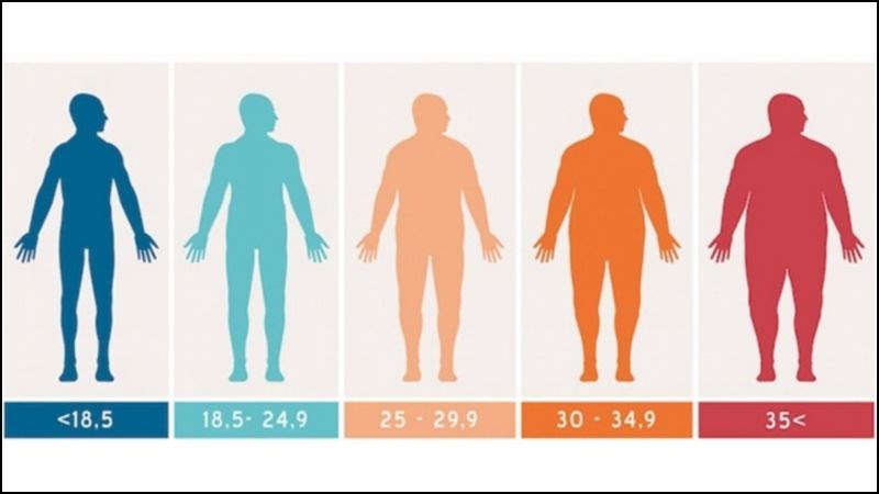 Người quá béo hoặc quá gầy đều có thể gặp rối loạn tiền đình