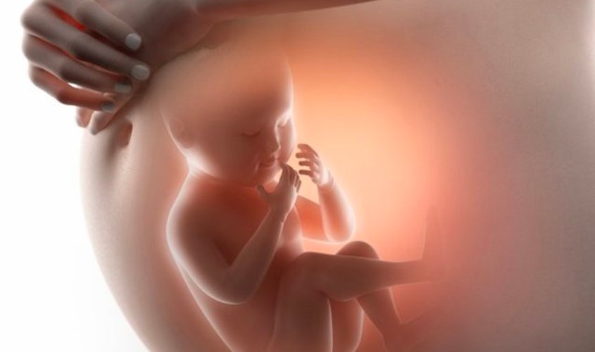 Công dụng của DHA đối với thai nhi