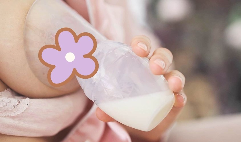 Đặt phễu đúng vị trí thì lực hút sẽ kích thích tia sữa giúp sữa chảy ra dễ dàng hơn