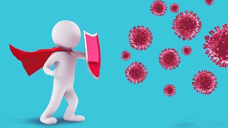Mộc hương có tác dụng kháng khuẩn và kháng virus