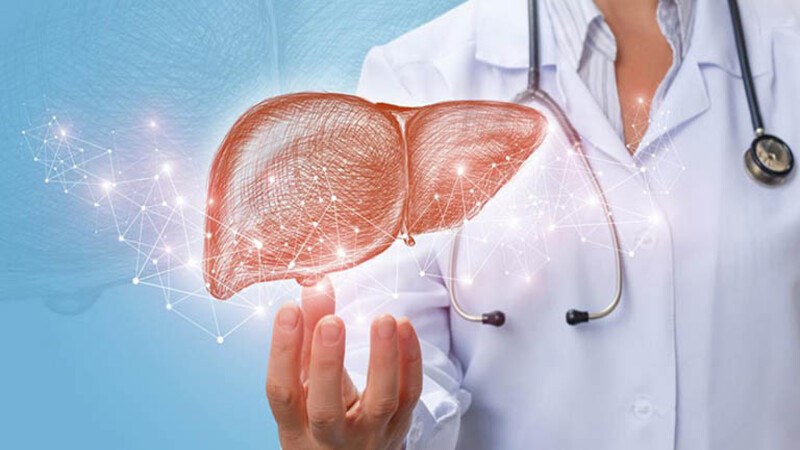 Các chất chiết xuất từ cây mộc hương rất tốt cho gan