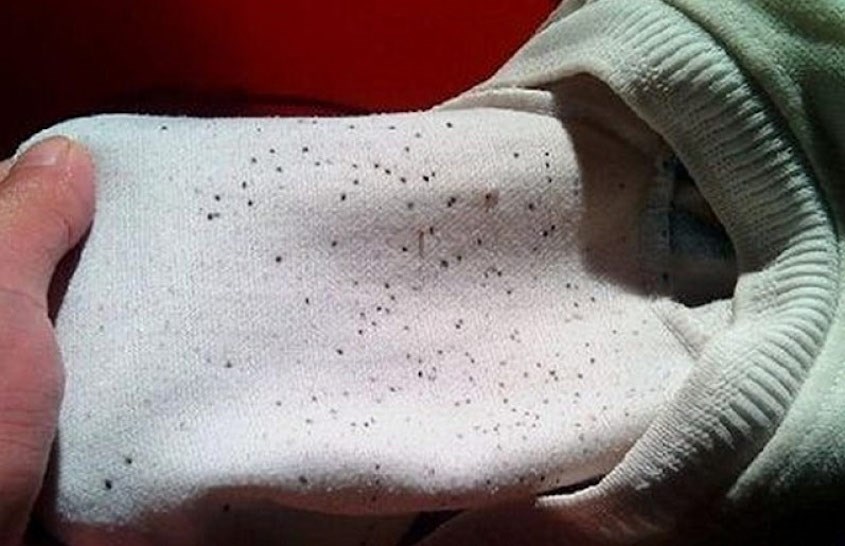 Các nguyên nhân khiến quần áo bé bị ẩm mốc