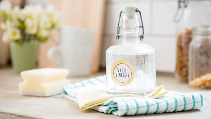 Dùng giấm trắng để tẩy sạch vết mốc trên quần áo