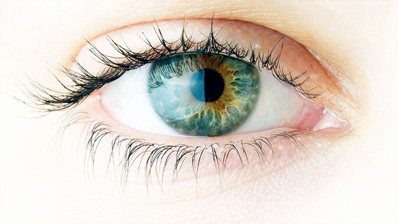 Hỗ trợ sức khỏe mắt