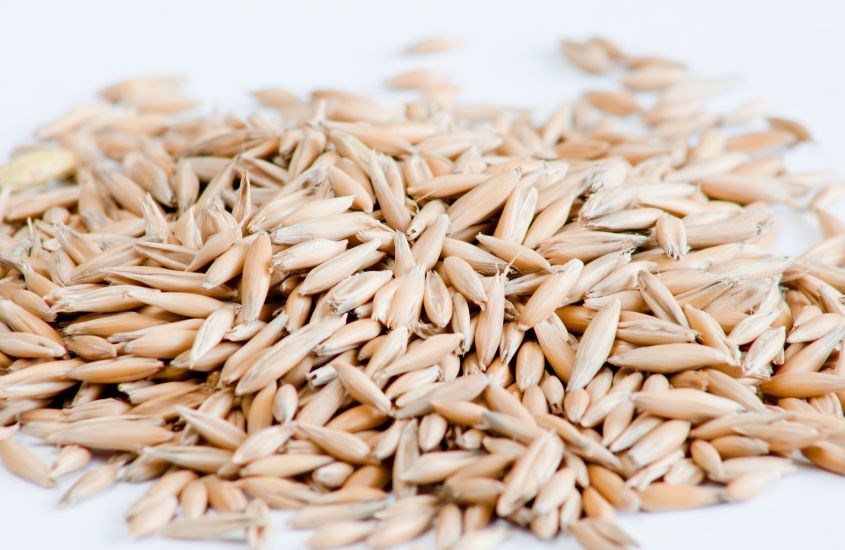 Yến mạch nguyên hạt