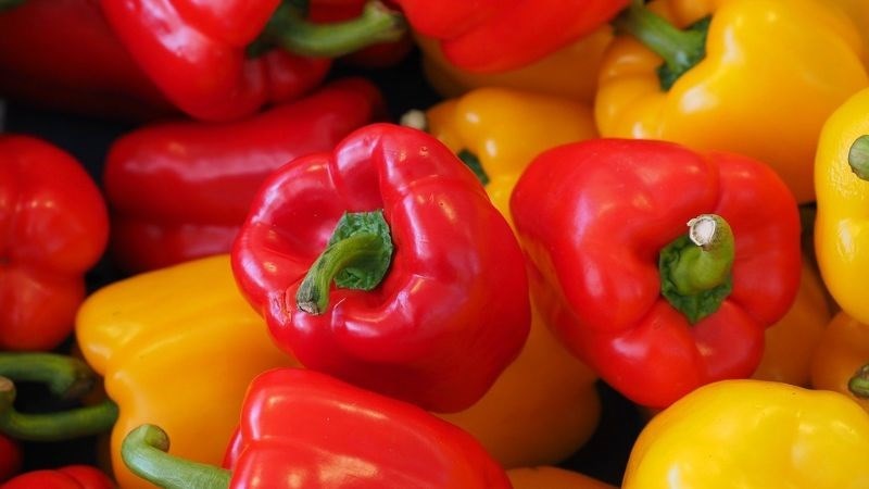Ớt chuông giàu chất dinh dưỡng Ớt chuông phù hợp với người bệnh thận vì chưa ít kali