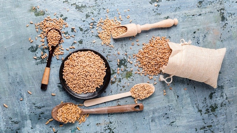 Kiều mạch Kiều mạch phù hợp cho người bệnh thận và không dung nạp gluten
