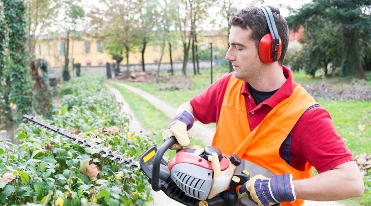 What is a hedge trimmer? Criteria to choose to buy a pruning machine that suits your needs