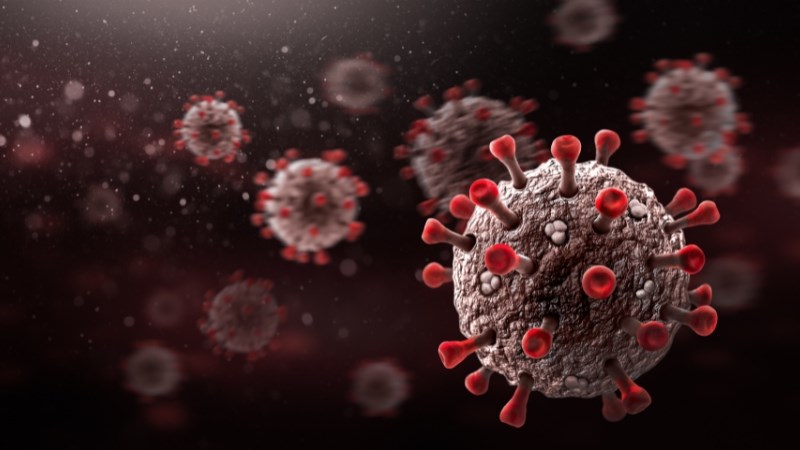 Khoảng 90% tác nhân gây viêm họng là do virus