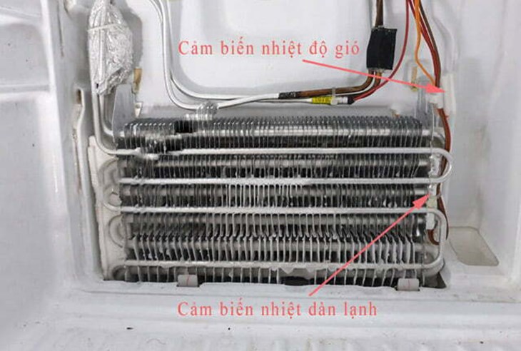 Tủ lạnh thường trang bị 2 sensor