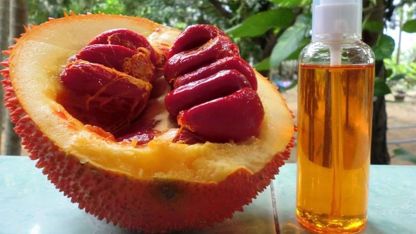 Một số lưu ý quan trọng khi sử dụng dầu gấc