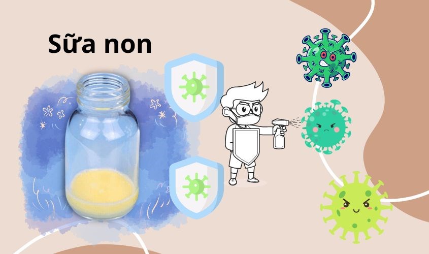 Trong sữa non có chứa nhiều kháng thể