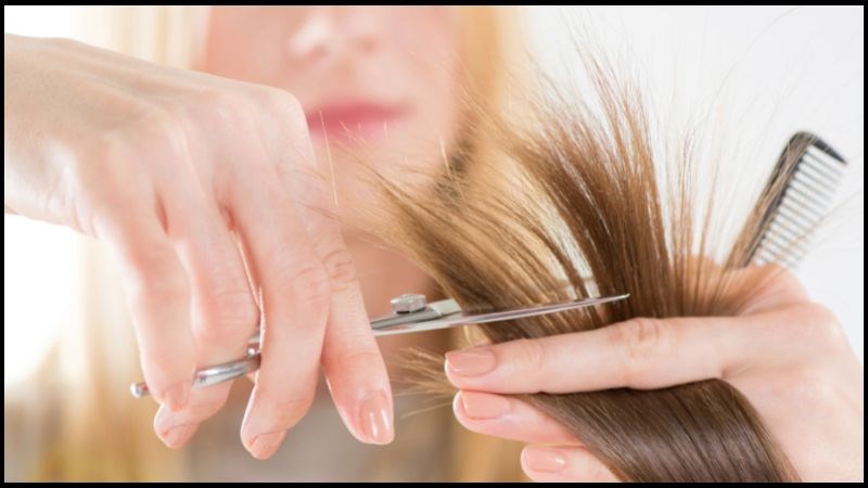 Tỉa tóc thường xuyên kích thích tóc bạn mọc nhanh hơn