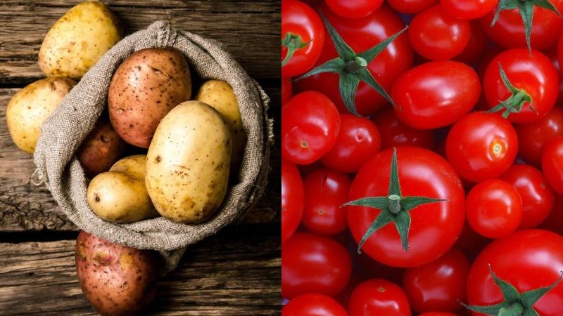 Mặt nạ ngừa mụn từ khoai tây và cà chua