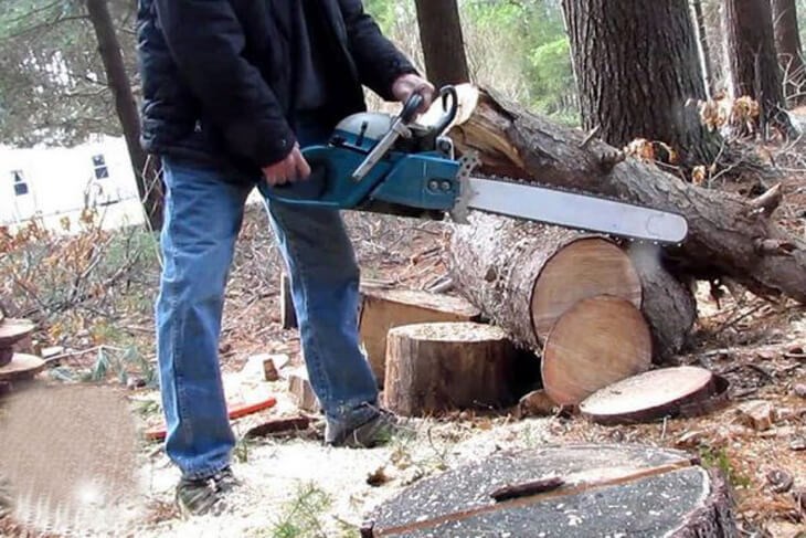 Máy cưa xích còn có thể chặt hạ cây to, cắt tỉa nhánh cây, thu hoạch củi, giúp giảm nguy cơ gây cháy rừng