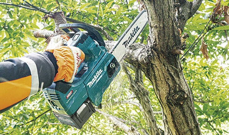 Máy cưa xích có thể sử dụng để tỉa, cưa, cắt cành cây trên cao, gia tăng tính thẩm mỹ cho công viên, vườn nhà