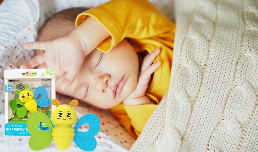 Đồ chơi xúc xắc bướm Antona