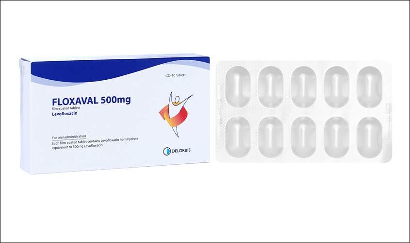 Floxaval 500mg - Hỗ trợ trị nhiễm khuẩn