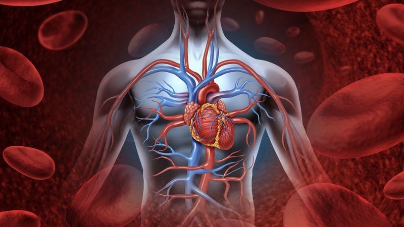 Suy tim sung huyết vì thiếu hụt canxi do cơ tim hoạt động kém