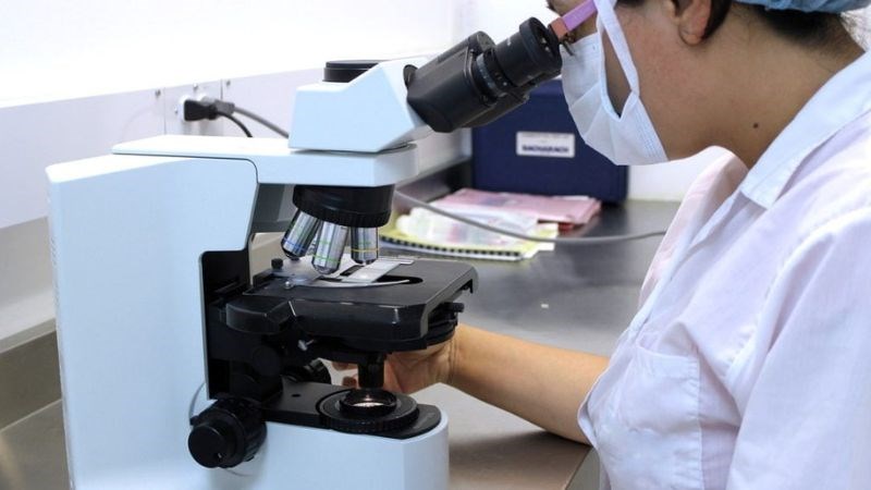 Chẩn đoán nhiễm giun kim bằng cách tìm trứng giun trong phân