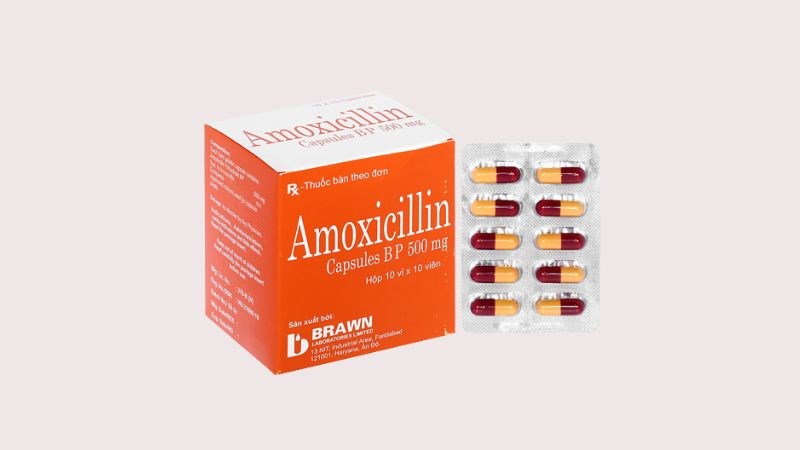 Amoxicillin Brawn 500mg