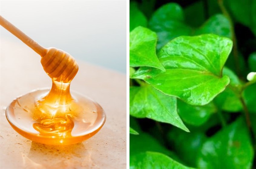 Cách làm mặt nạ diếp cá tại nhà