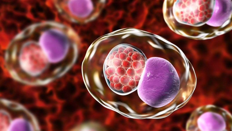 Vi khuẩn Chlamydia gây nhiễm trùng sinh dục nuoc-tieu-duc-la-benh-gi-nguyen-nhan-va-dau-hieu-6