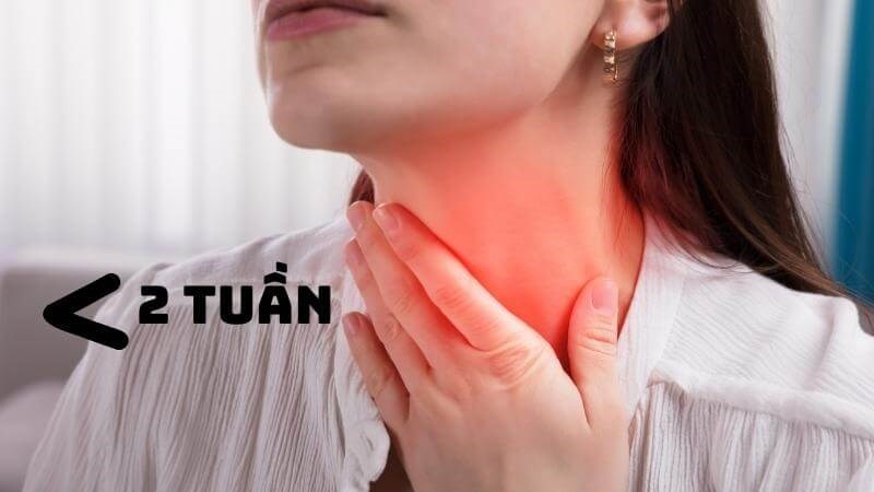 Viêm họng thường biến mất trong vòng 2 tuần
