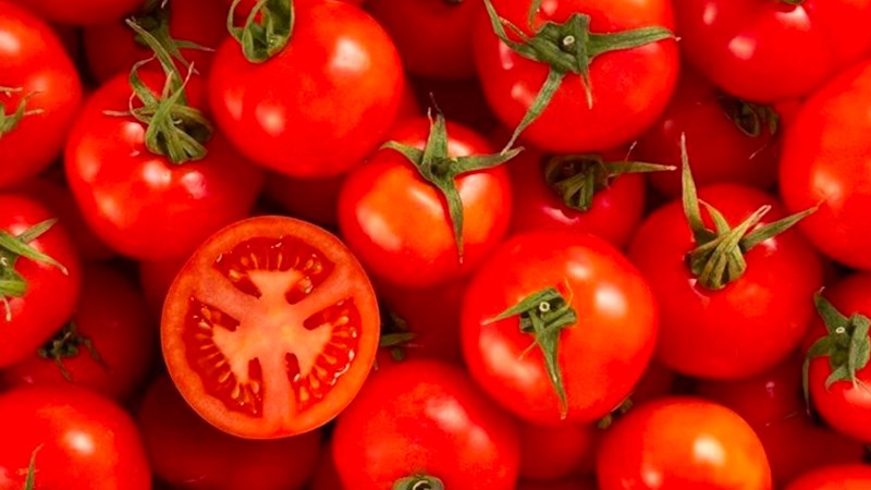 Lycopene trong cà chua có thể góp phần thay đổi màu da của con người