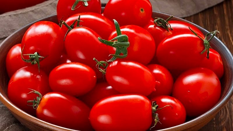 Cà chua nên được bảo quản ở nơi thoáng mát