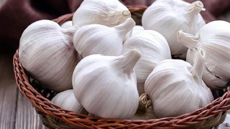 Tỏi giúp cải thiện tình trạng viêm họng