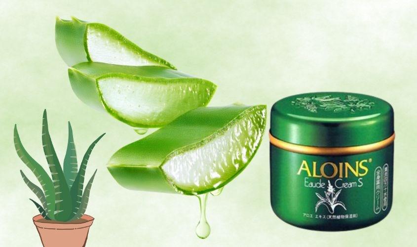 Kem dưỡng ẩm cho da dầu Aloins chiết xuất lô hội