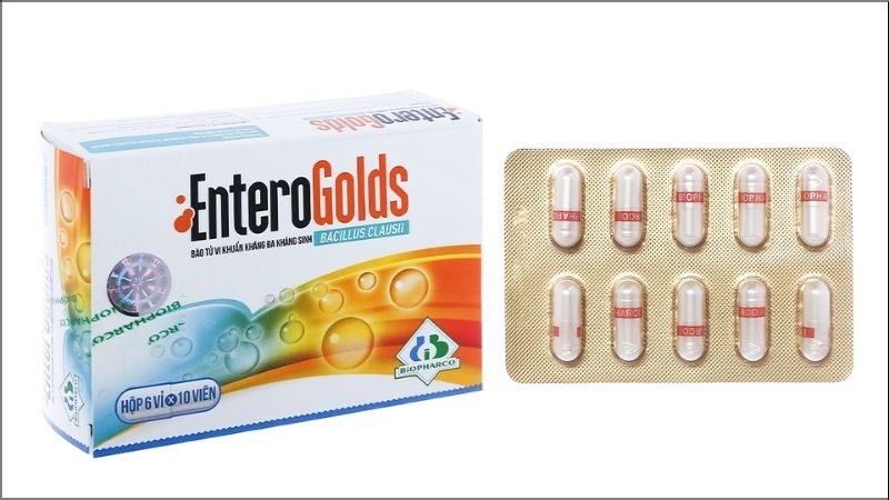 Enterogolds - Dòng sản phẩm bổ sung vi sinh, hỗ trợ trị rối loạn tiêu hóa (6 vỉ x 10 viên)