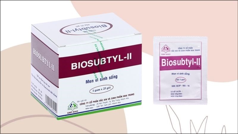 Bột men vi sinh Biosubtyl-II - Dòng sản phẩm hỗ trợ trị rối loạn tiêu hóa (25 gói x 1g)