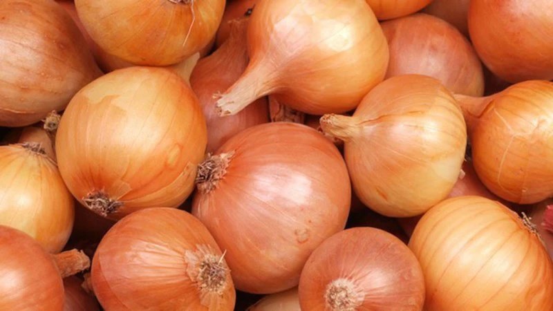 Hành tây chứa nhiều hợp chất chứa lưu huỳnh giúp giảm mức cholesterol