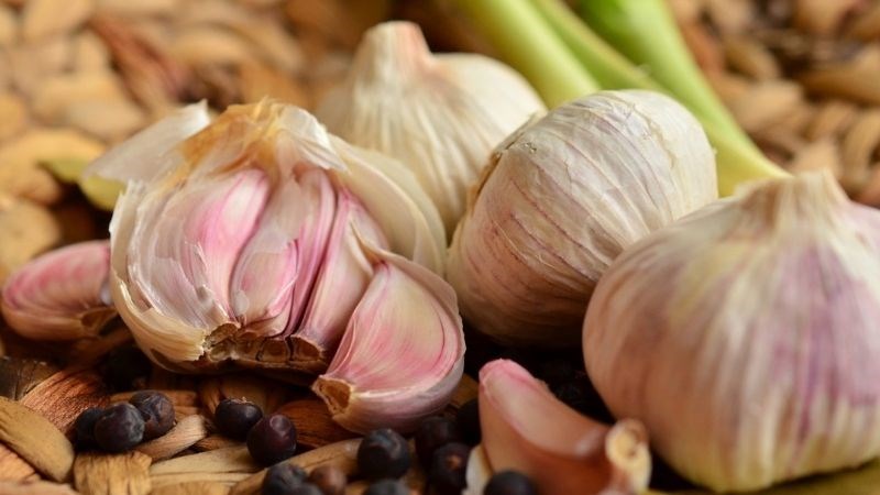 Tỏi chứa allicin sulfur giúp giảm mỡ máu