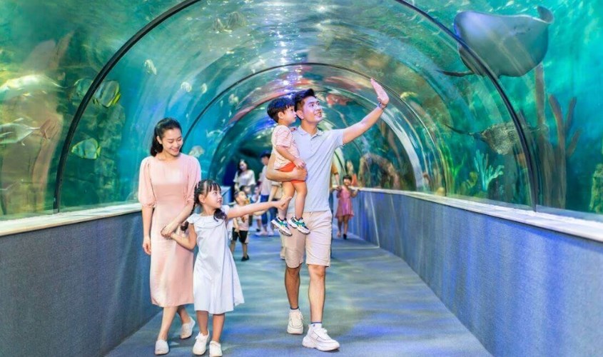 Khu thủy cung Vinpearl Aquarium 
