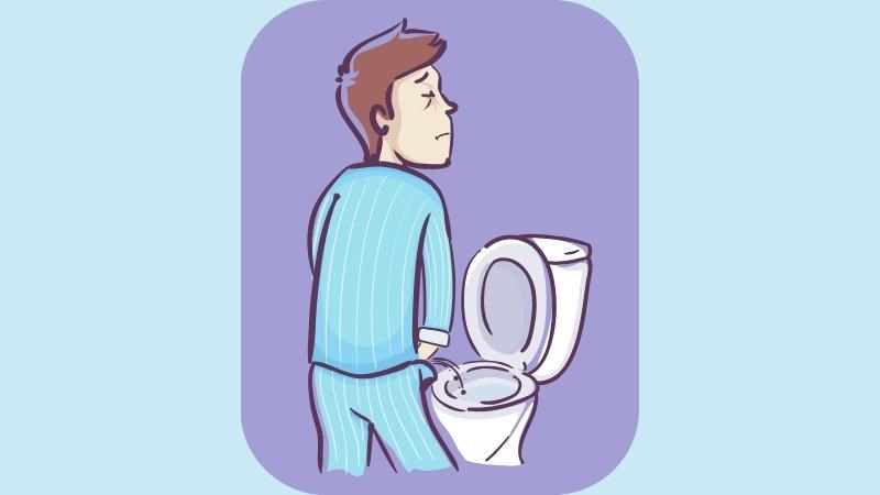 Khả năng cô đặc nước tiểu giảm làm thể tích nước tiểu tăng lên gây tiểu nhiều, tiểu đêm