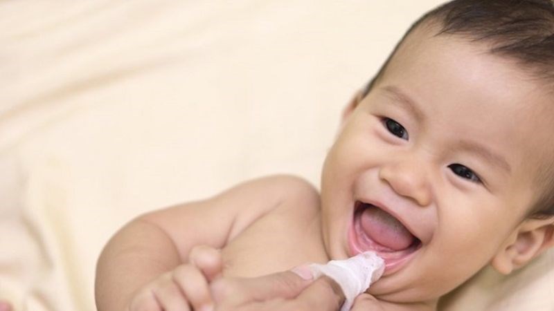 Cỏ mực chữa tưa lưỡi ở trẻ em