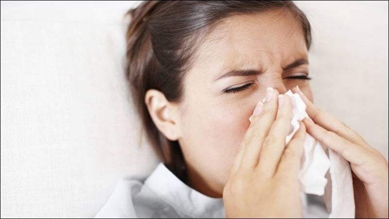 Cỏ mực hỗ trợ điều trị viêm xoang 