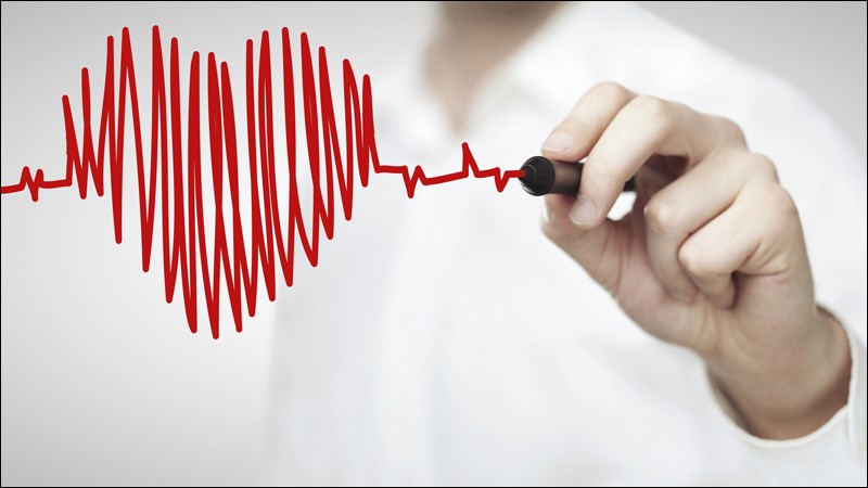Cà tím giúp giảm nguy cơ mắc bệnh tim mạch