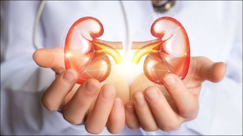 Tảo xoắn giúp cải thiện chức năng thận