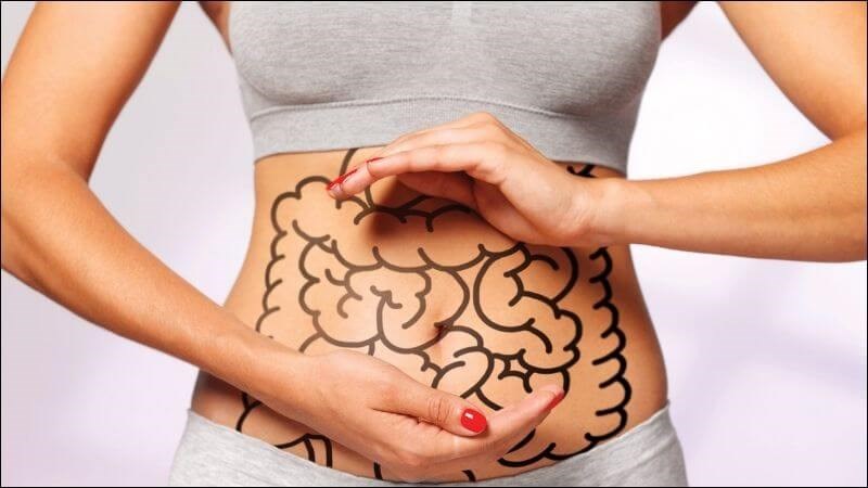 Tảo xoắn giúp cải thiện sức khỏe đường ruột