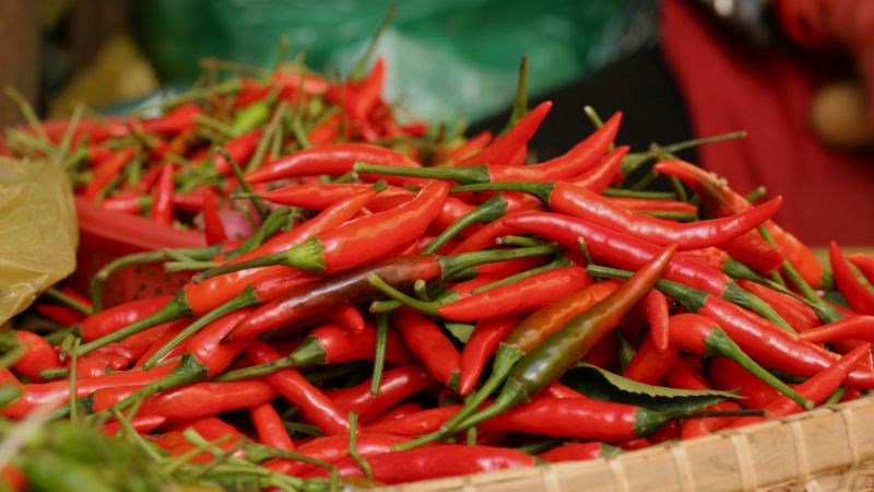 Ăn ớt có gây chết người không