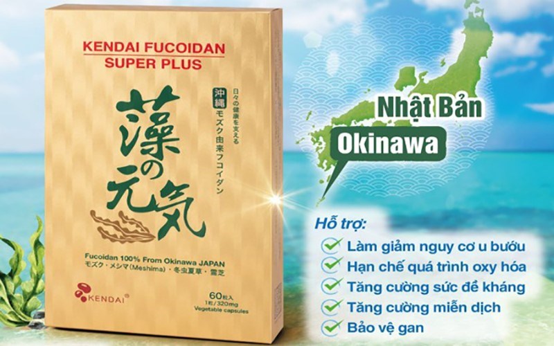 Kendai đã có hơn 10 năm hình thành và phát triển